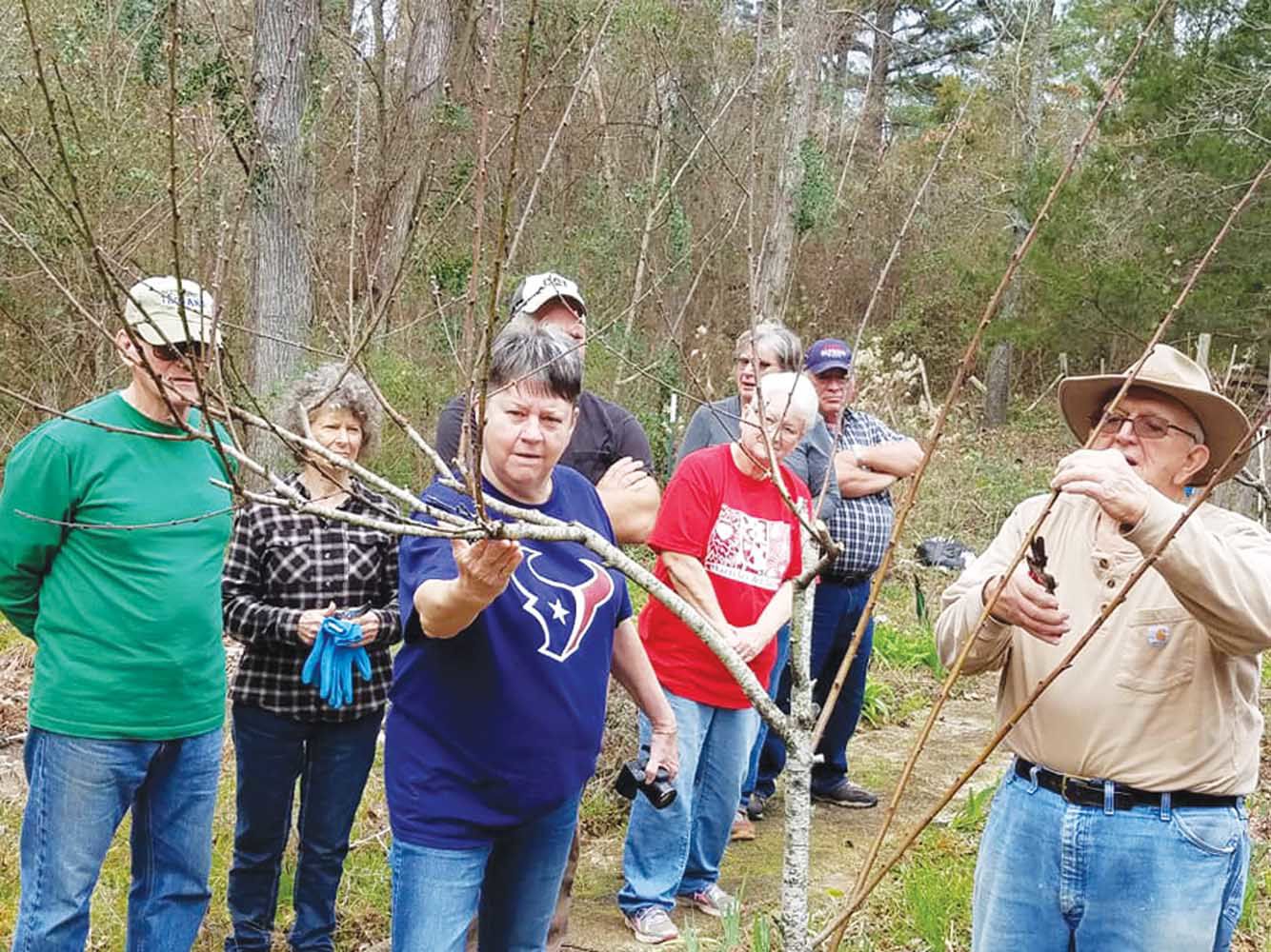 Pruning at Poppa’s
